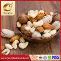 Roasted Cashew Nuts Delicious Taste